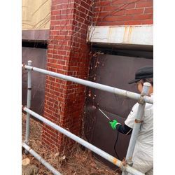 📞「2階まであるツタをどうにかしてほしい」の画像3