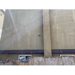 📞「2階まであるツタをどうにかしてほしい」の画像2