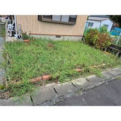 夏場の猛暑の草刈りお任せ★　施工写真集★↓↓↓↓の画像1