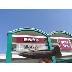 連日、お客様から「伊藤さん、この作業毎日してるんですか？！」と聞かれていますの画像1