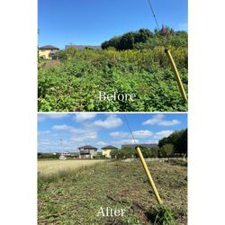 草刈りでここまでスッキリ！プロの作業で見違えるお庭にの画像2