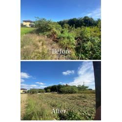 草刈りでここまでスッキリ！プロの作業で見違えるお庭にの画像1