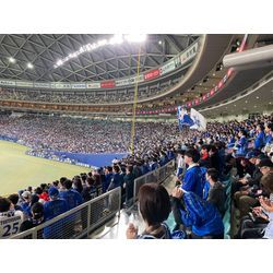 🌺バンテリンドーム中日vs横浜⚾️3/1オープン戦🌺の画像2