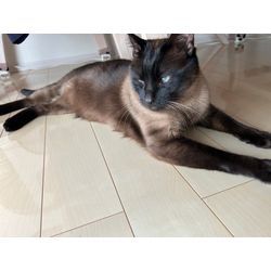 12お客様メモリー④【早良区Ｎ様】当店ご利用ありがとうございましたの画像3