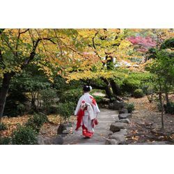 七五三 四天王寺の画像1