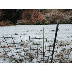 東大阪に雪が積もった！の画像1