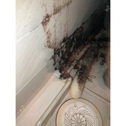 【エプロン内高圧洗浄】の画像1