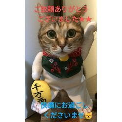 2025 4/某日〜の画像2