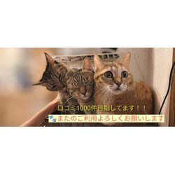 2025 4/某日〜の画像1