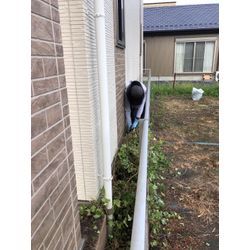 （続）宇宙人捕獲？の画像1