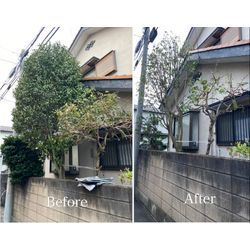 「伸びすぎて手に負えない…」そんな庭木もここまで変わります！の画像1