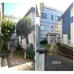 「伸びすぎて手に負えない…」そんな庭木もここまで変わります！の画像2