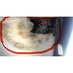 🐝◤9月もご依頼ありがとうございました！宮城県の蜂の巣駆除は東北便利隊員にお任せください🔥◢の画像2