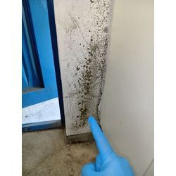 花見川と美浜区の団地カビ除去の画像1