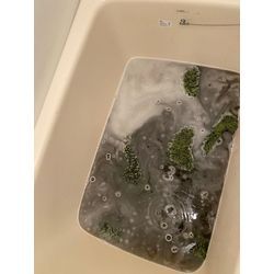 自宅のカーペットをオキシ漬け！汚れの正体にびっくり😳の画像2