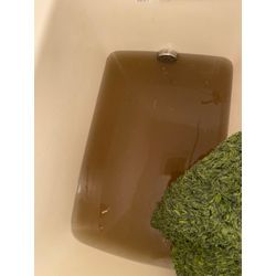 自宅のカーペットをオキシ漬け！汚れの正体にびっくり😳の画像3