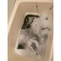 自宅のカーペットをオキシ漬け！汚れの正体にびっくり😳の画像1