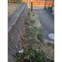 神奈川県横浜市栄区にて草むしり、防草シート(除草シート)を敷きましたの画像1
