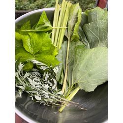 自然の恵みを頂きました😊の画像1