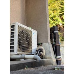 ☾°̥࿐໒꒱スタッフ　ブログ ⡱☾°̥࿐໒꒱　可愛いからと言って近づかないで！！の画像1