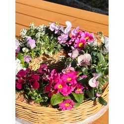 お花と家事。共通点は『ちょっとしたコツ』でした♪の画像1