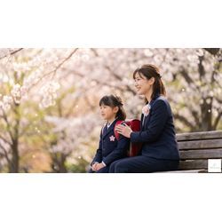 入学式の写真、桜と一緒に残しませんか？の画像1