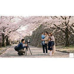入学式の写真、桜と一緒に残しませんか？の画像3