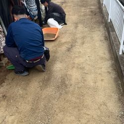 人工芝施工✨雨のぬかるみや靴汚れに！の画像2