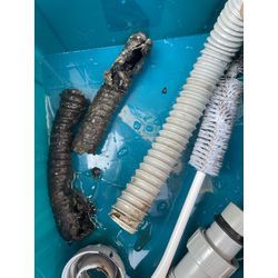 そりゃ流れんやろなぁ〜(･･;)の画像1