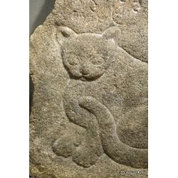 「ふじ」という猫の供養の画像1