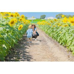 夏といえばの画像1