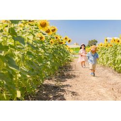 夏といえばの画像2