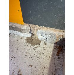 今年は本当に…の画像2