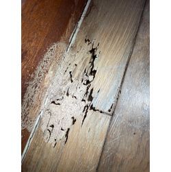 今年は本当に…の画像1