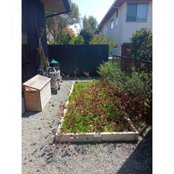 神奈川県鎌倉市にての画像1