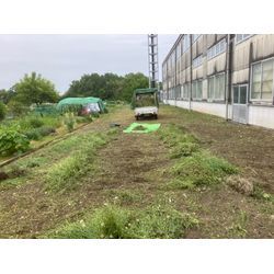 豊田市　草刈りの画像2