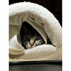 今年も無事に終わる事できました。ありがとうございました。の画像1