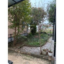 庭木の伐採・抜根｜お清めをしてから作業、防草シートと砂利敷きで雑草対策の画像1