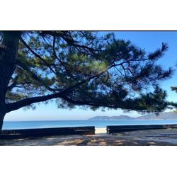 片付け訪問前の時間調整時間が最高［山口県光市］の画像1