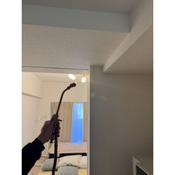 🛏️ 朝起きたら腕に赤い発疹が…それ、トコジラミかもしれませんの画像3