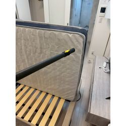 🛏️ 朝起きたら腕に赤い発疹が…それ、トコジラミかもしれませんの画像1