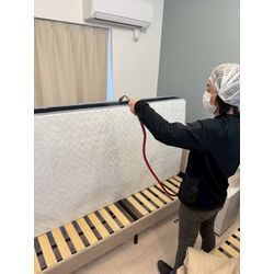 🛏️ 朝起きたら腕に赤い発疹が…それ、トコジラミかもしれませんの画像2