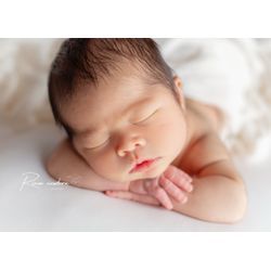 チンオンハンズの画像3