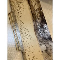 【見えないカビ】の画像1