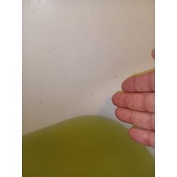 柏・鎌ケ谷既存のお客様のご紹介。の画像3