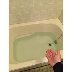 お風呂＋トイレクリーニングの画像2