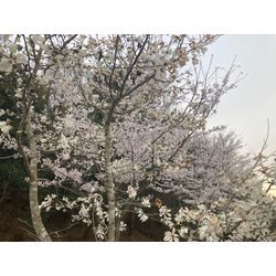 和歌山　三重県訪問の画像1