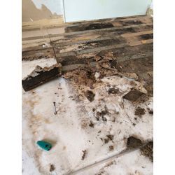 賃貸マンション、腐食した床の補修と施工の画像1