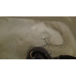 今日のご報告の画像3