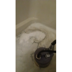 今日のご報告の画像2